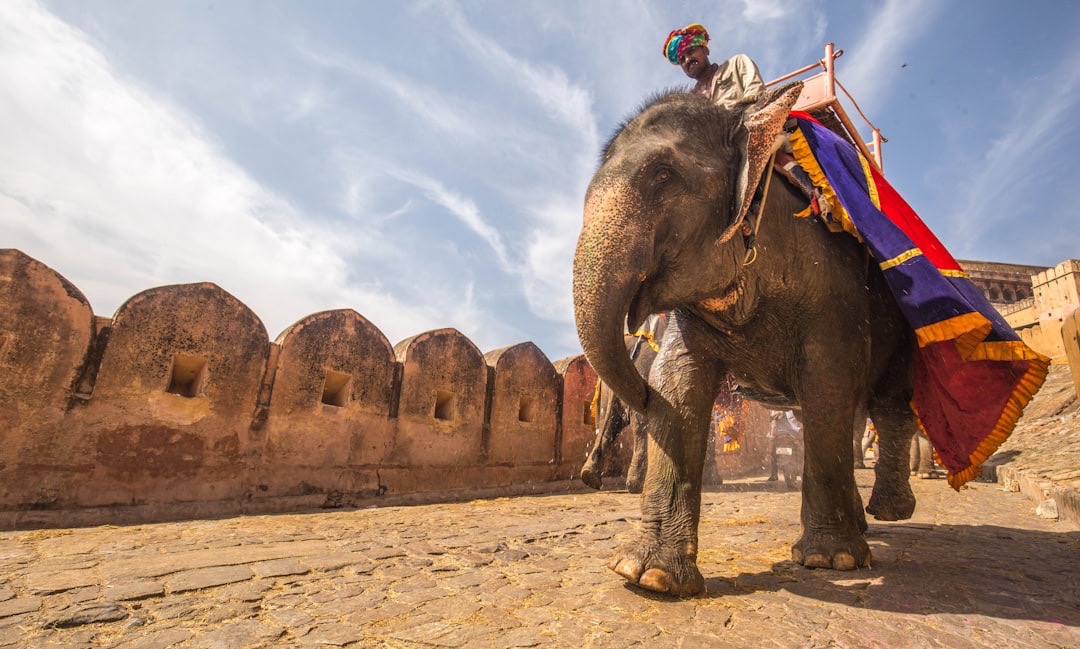 Redefining India’s Tourism: A Journey of Passion, Purpose, and Vision